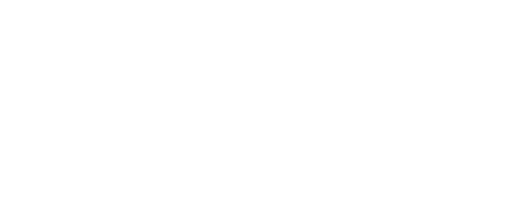 logo Aluzja
