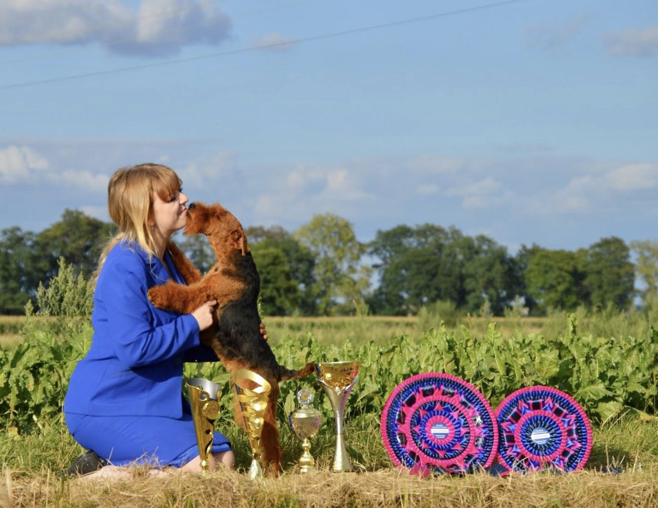Welsh Terrier